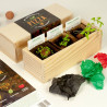 KIT CULTIVO PIZZA