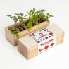 MINI HUERTO TOMATES