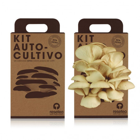 KIT SETAS AUTOCULTIVO