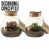 TERRARIO NATURAL FITONIA D16XH19CM