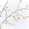 ORQUÍDEA - SURTIDO VARIADO - MACETA 9CM