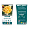 ROSAL GRANDIFLORA AMARILLO MICHELANGELO MACETA 2 LITROS