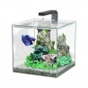 BETTA KUBUS 15 ACUARIO 15 LITROS