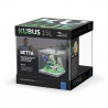 BETTA KUBUS 15 ACUARIO 15 LITROS