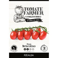 SEMILLAS TOMATE BRISCOLINO