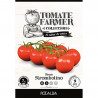 SEMILLAS TOMATE STROMBOLINO