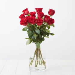 ONLY ROSES - (12 ROSAS)