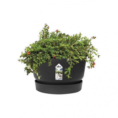 MACETA BOWL GRENVILLE NEGRO D33XH19CM