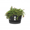 MACETA BOWL GRENVILLE NEGRO D33XH19CM