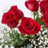 HONEYMOON (12 ROSAS + PANICULATA + HELECHO)
