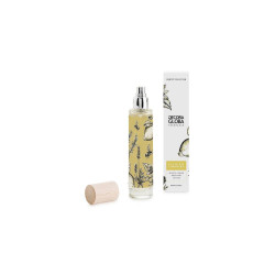 AMBIENTADOR SPRAY AROMA AL PIE DEL LIMONERO 100ML