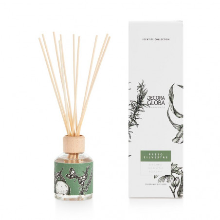 MIKADO AROMA PASEO SILVESTRE 100ML