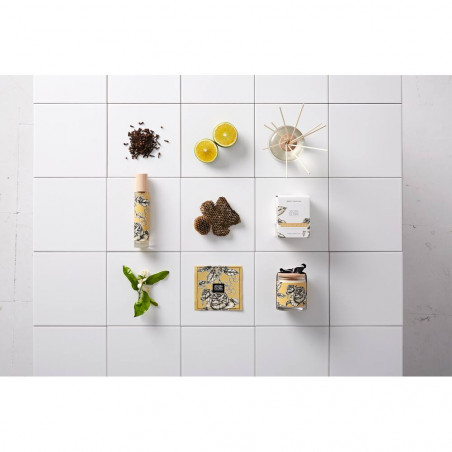 RECAMBIO MIKADO AROMA AL PIE DEL LIMONERO 250ML