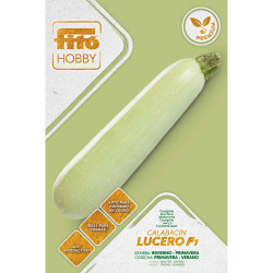 SEMILLAS CALABACÍN LUCERO F-1 PREMIUM