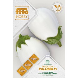 SEMILLAS BERENJENA PALOMA F-1 PREMIUM