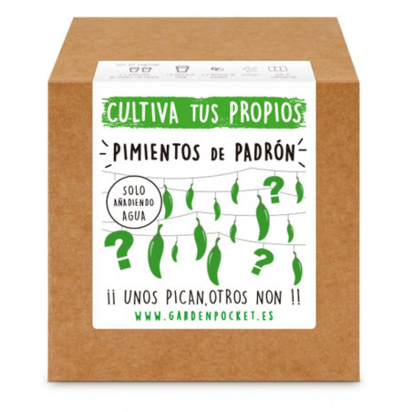 PIMIENTO PADRON CAJA KIT CULTIVO