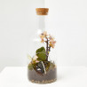 TERRARIO PLANTAS MARINI D15XH30CM