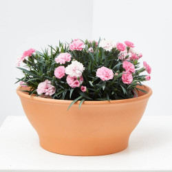 CLAVEL I LOVE YOY TARRINA 23CM