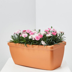 CLAVEL I LOVE YOU JARDINERA