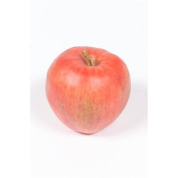 MANZANA ARTIFICIAL ROYAL GALA 9CM