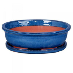 MACETA BONSAI ASUKA 27CM + PLATO AZUL