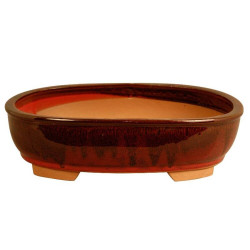 MACETA BONSAI ASUKA 27CM + PLATO ROJO