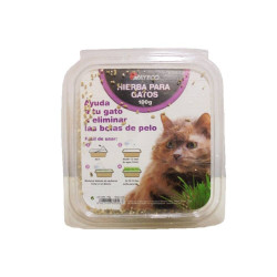 HIERBA NATURAL PARA GATOS