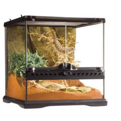 TERRARIO MINI CRISTAL 30X30CM