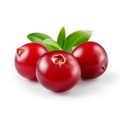 ARÁNDANO ROJO 15 X15CM