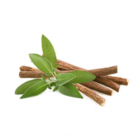 REGALIZ  MACETA 10L