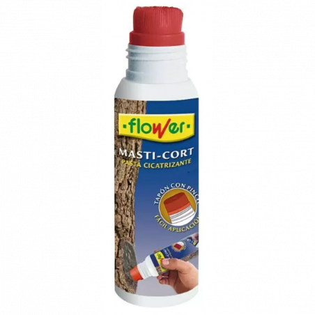 PASTA CICATRIZANTE CON APLICADOR 250GR