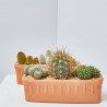 CACTUS JARDINERA BARRO