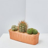 CACTUS JARDINERA BARRO