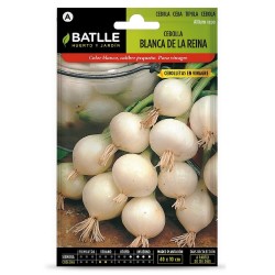 SEMILLAS CEBOLLA BLANCA REINA