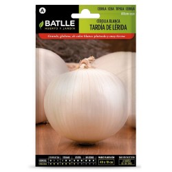 SEMILLAS CEBOLLA GRANDE TARDIA