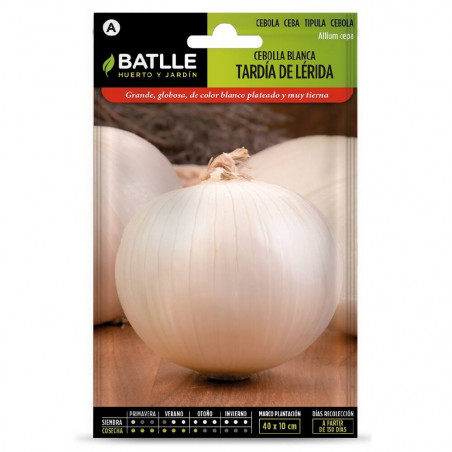 SEMILLAS CEBOLLA GRANDE TARDIA