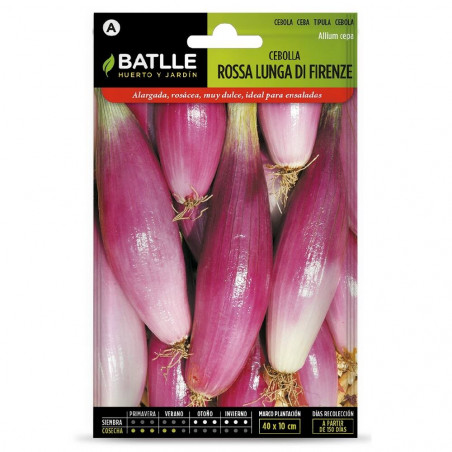 SEMILLAS CEBOLLA  ROSA LUNG FIRENZA