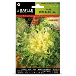 SEMILLAS ESCAROLA PERRUCA RIZOS