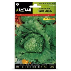 SEMILLAS LECHUGA GRANDES LAGOS