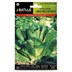 SEMILLAS LECHUGA OREJA DE MULO