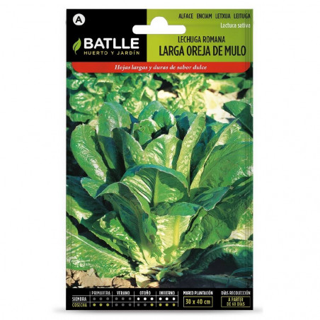 SEMILLAS LECHUGA OREJA DE MULO