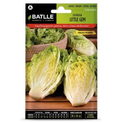 SEMILLAS LECHUGA LITTLE GEM
