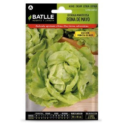 SEMILLAS LECHUGA PRINCESA MAYO