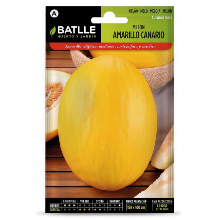 SEMILLAS MELON AMARILLO CANARIO