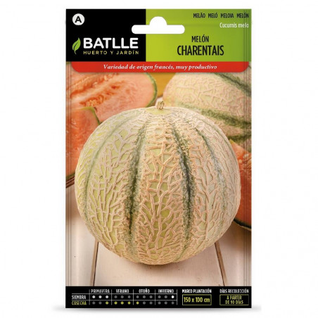 SEMILLAS MELON CHARENTAIS