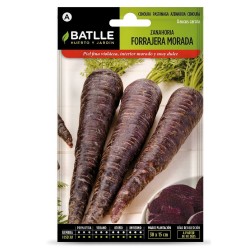 SEMILLAS ZANAHORIA FORRAJERA MORADA