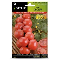 SEMILLAS TOMATE COLGAR DOMINGO