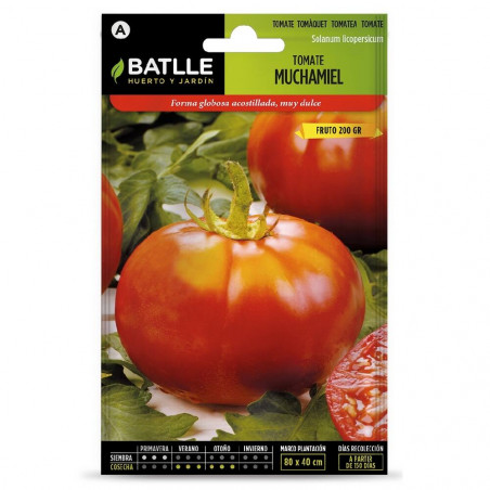 SEMILLAS TOMATE MUCHAMIEL