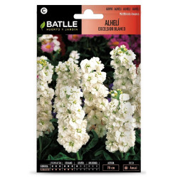 SEMILLAS ALHELI BLANCO