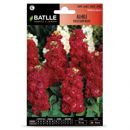 SEMILLAS ALHELI ROJO